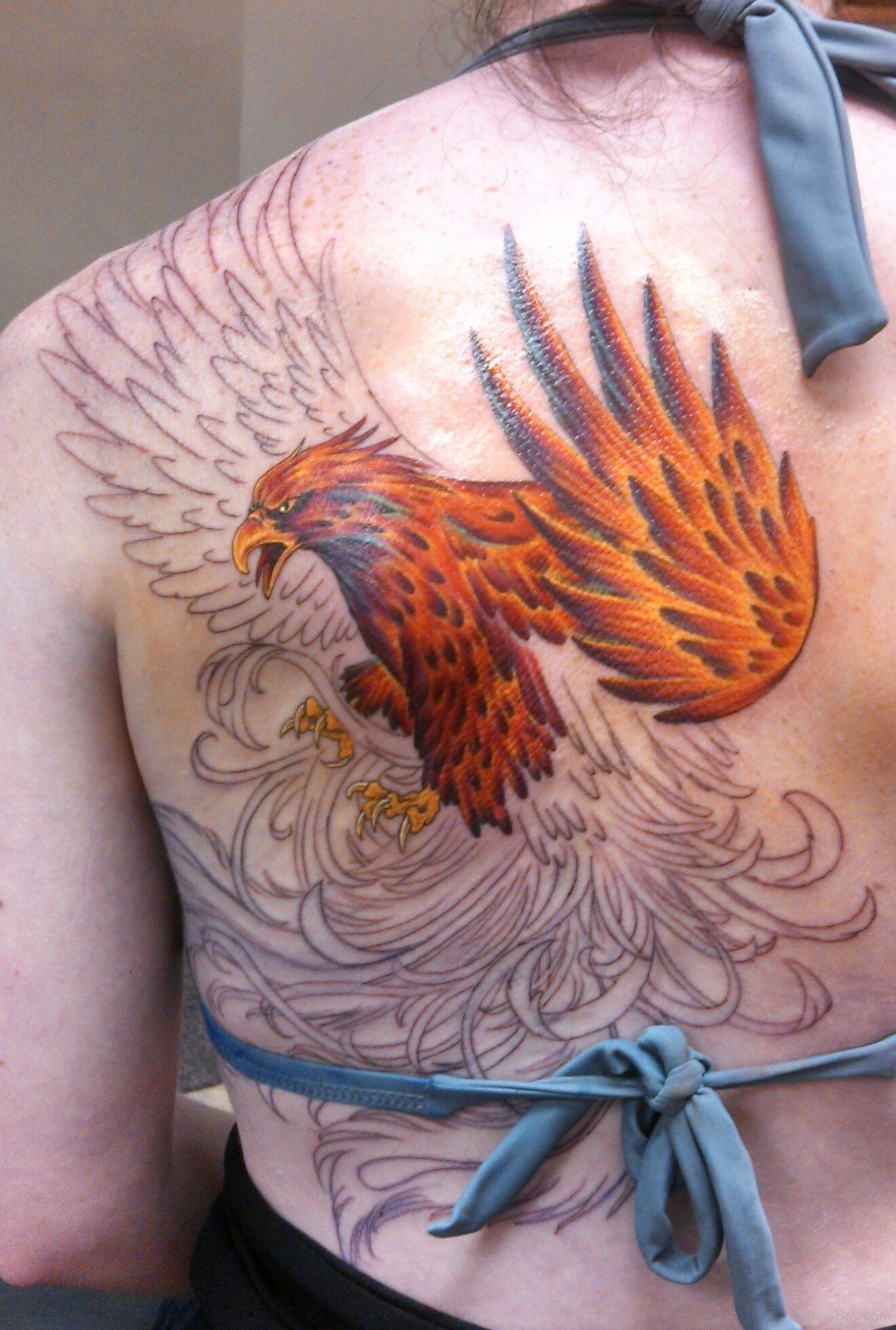 Phoenix Tattoos  Tattoo Designs, Tattoo Pictures  Page 8