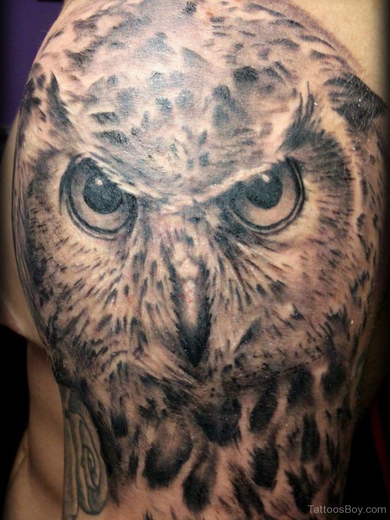 Owl Tattoos  Tattoo Designs, Tattoo Pictures