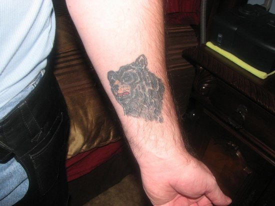 Bear Tattoo On Arm
