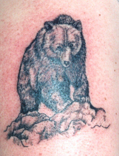 Bear Tattoo Picture