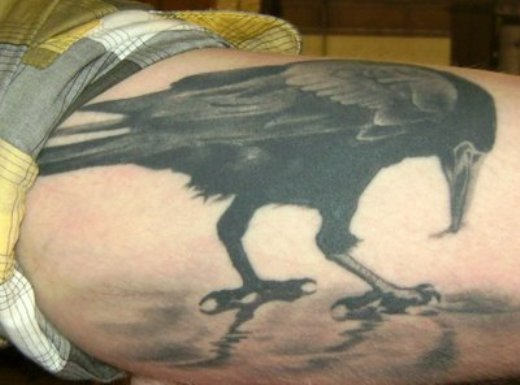 Crow Bird Tattoo