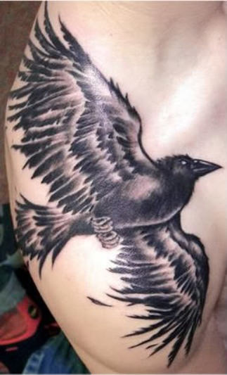 Crow Tattoo On Shoulder