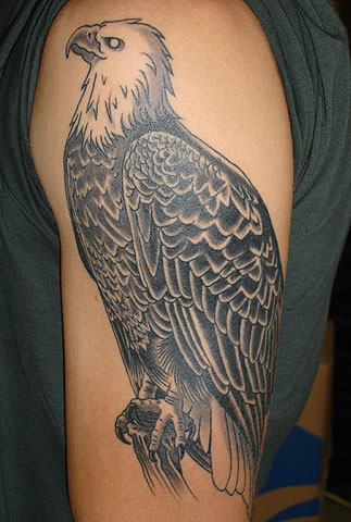 Eagle Tattoo On Shoulder