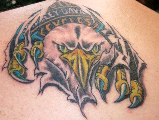 Eagle Face Tattoo On Back