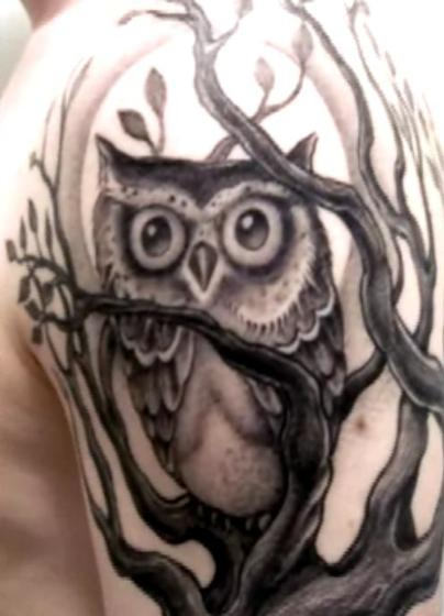 Owl Tattoo On Shoulder