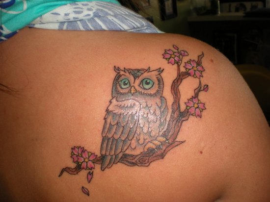 Little Owl Tattoo On Back