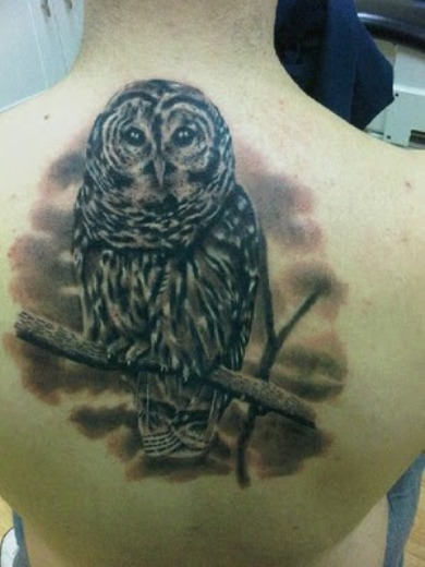 Owl Tattoo On Back