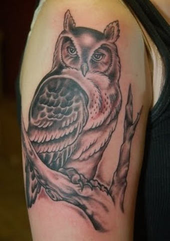 Beautiful Owl Tattoo