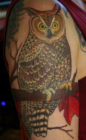 Nice Owl Tattoo On Shoulder
