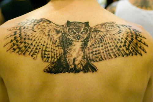 Flying Owl Tattoo On Back