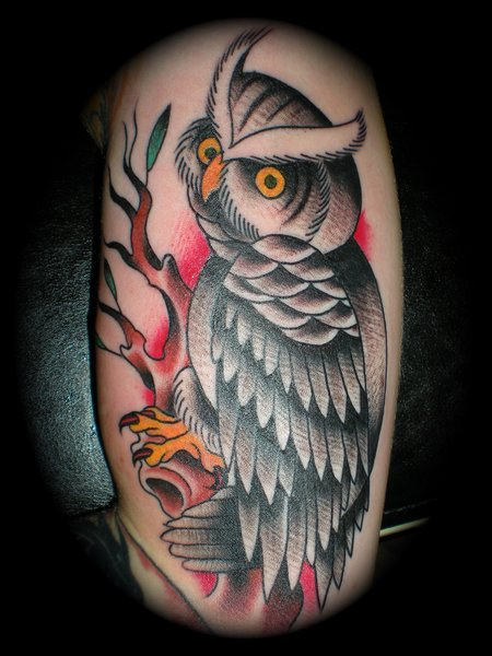 Angry Owl Tattoo