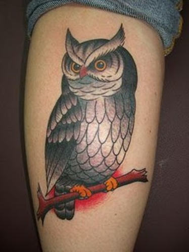 Owl Bird Tattoo