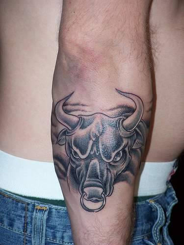 Bull Tattoo On Arm