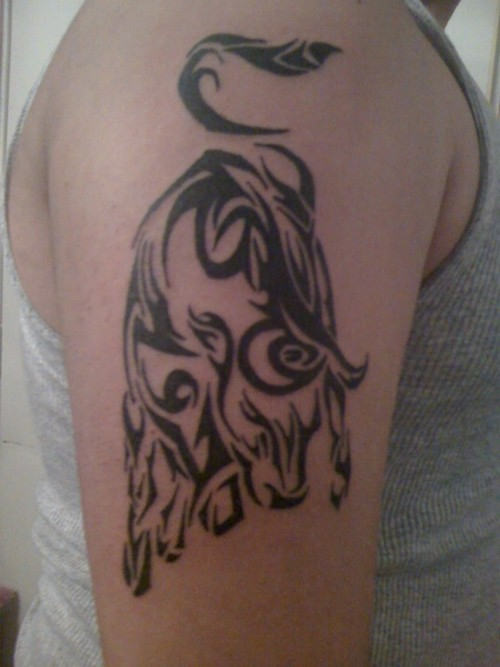 Bull Tattoo On Shoulder