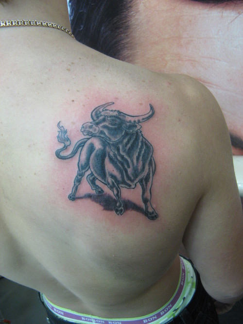 Bull Tattoo On Back