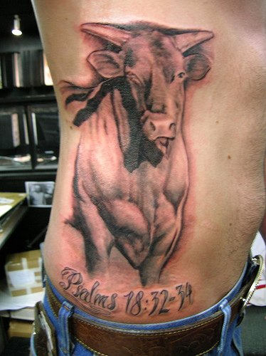 Bull Tattoo On Rib