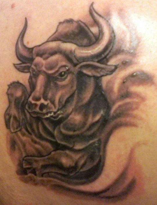 Bull Tattoo