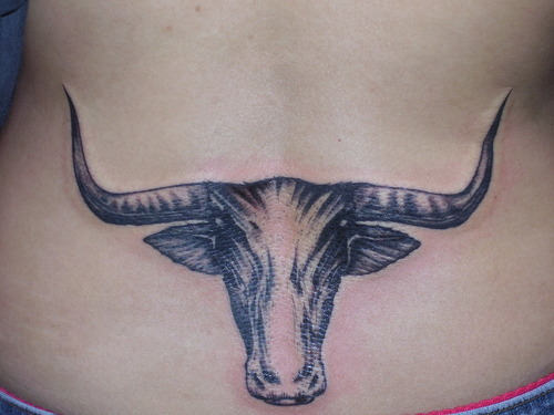 Bull Tattoo On Back
