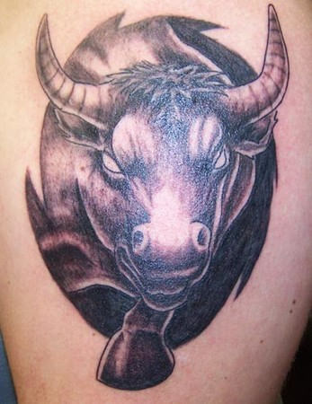 Bull Tattoo