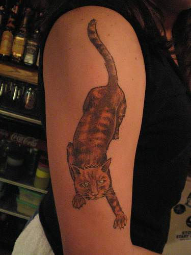 Cat Tattoo on Arm