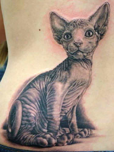 Cat Tattoo on Back