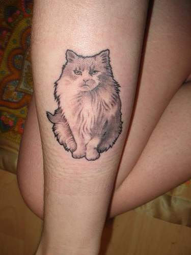 Cat Tattoo Image