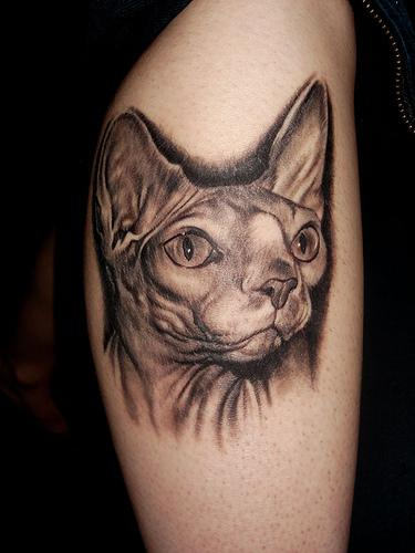 Cat Face Tattoo Design