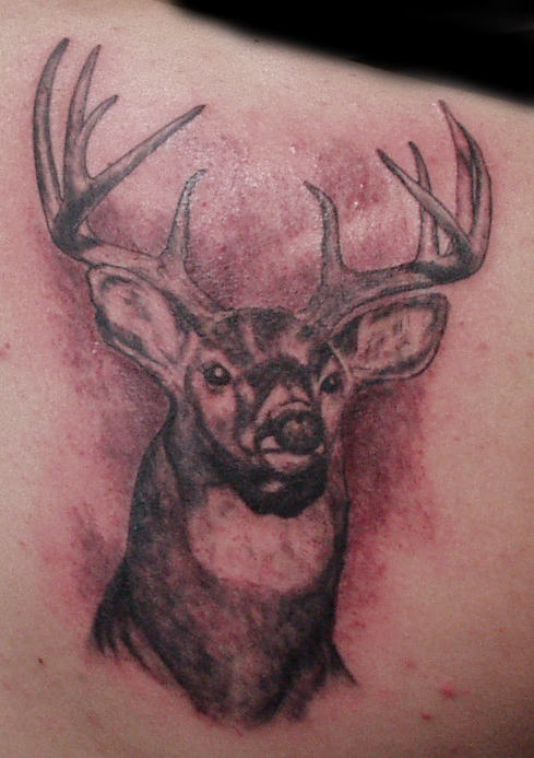 Deer Tattoo