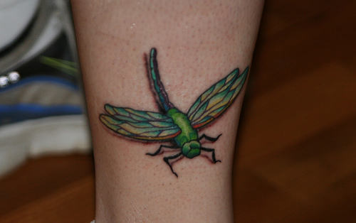 Nice Dragonfly Tattoo
