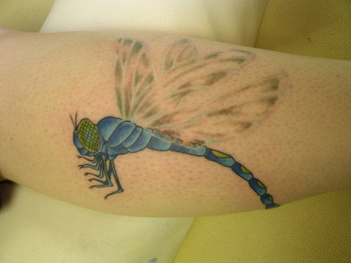 Dragonfly Tattoo 