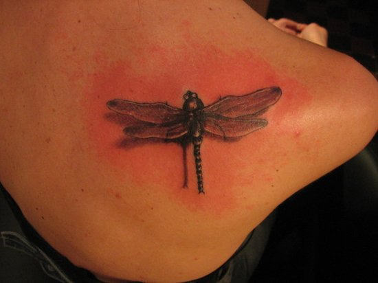 Simple Dragonfly Tattoo 