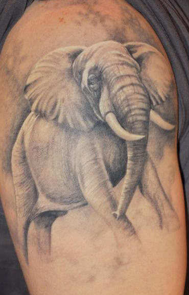 Angry Elephant Design on Arm
