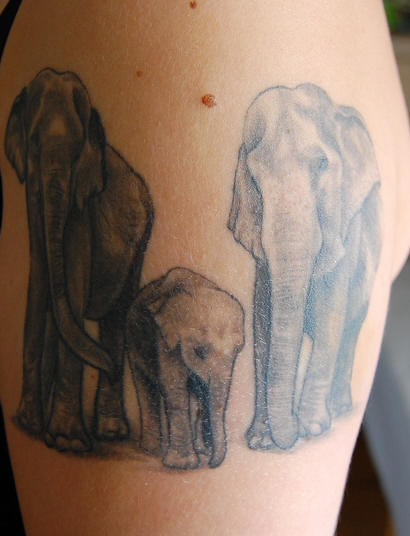 Elephant Family Tattoo