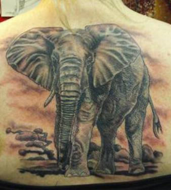 Elephant Tattoo on Back