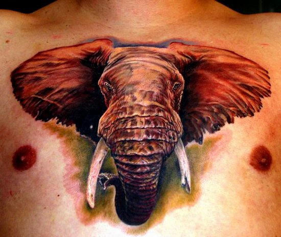Elephant Tattoo Design on Chest