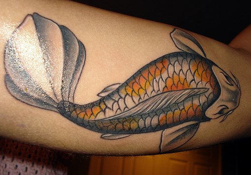 Beautiful Fish Tattoo Design