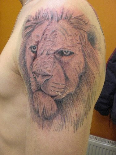 Lion Tattoo For Your Arm