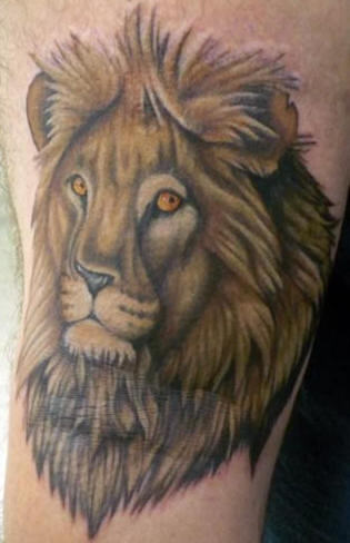 Lion Tattoo Design