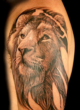 Cool Lion Tattoo