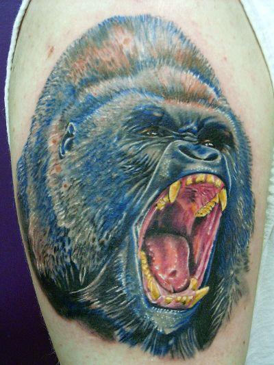 Monkey Tattoo