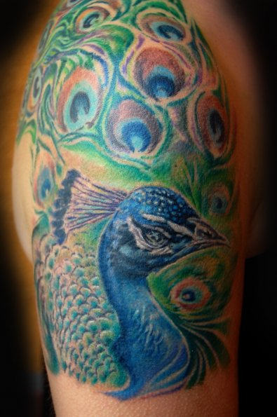 Very Beautiful Tattoo Picture of Peacock