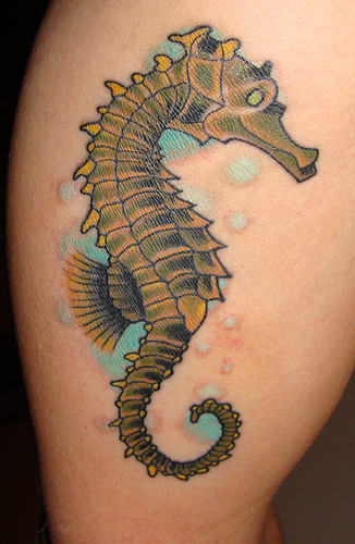 Seahorse Tattoo