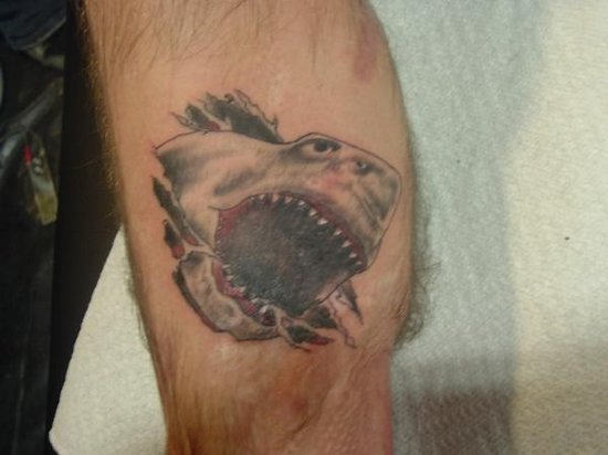 Shark Horror Tattoo