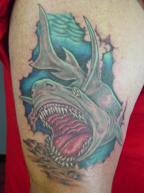 Shark Tattoo Design