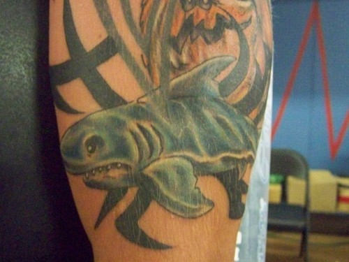 Tattoo Design of Shark
