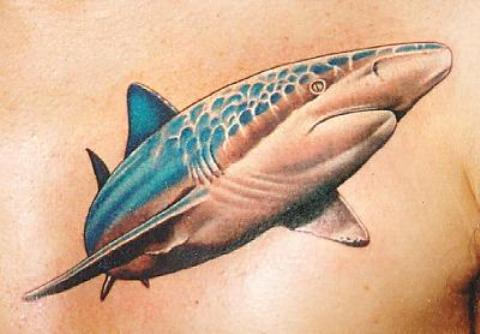 Shark Tattoo