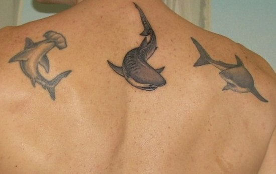 Sharks Tattoo On Back