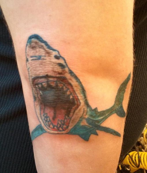 Shark Fish Tattoo
