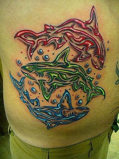Colorful Fishes On Rib