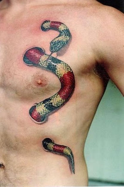 Snake Tattoo On Chest and Rib